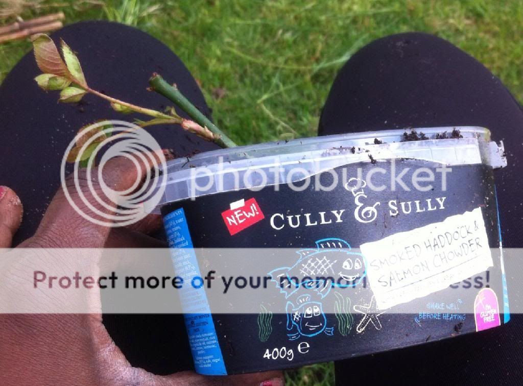 photo 1C000E17-E02C-4F11-99CD-1D9C20875FC9_zpsj2lyyxol.jpg